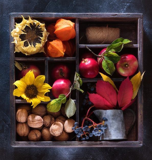 Autumn composition in wooden box flat lay