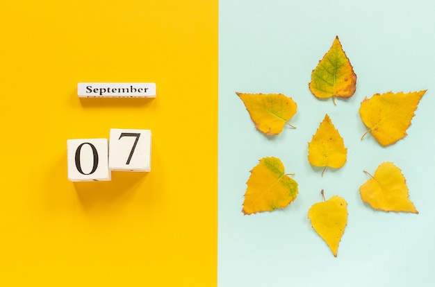 Foto composizione autunnale. calendario in legno 7 settembre e foglie di autunno giallo su sfondo blu giallo