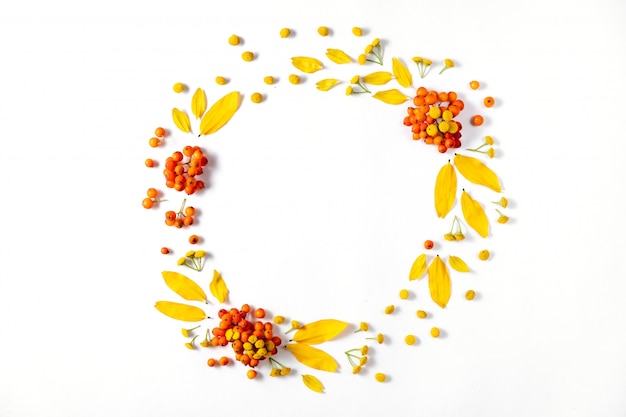 Autumn composition. Wreath made of leaves and rowan on white background. 