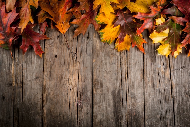 Concetto di autunno, fondo, vecchia tavola di legno rustica con le foglie rosse e gialle, spazio della copia di vista superiore