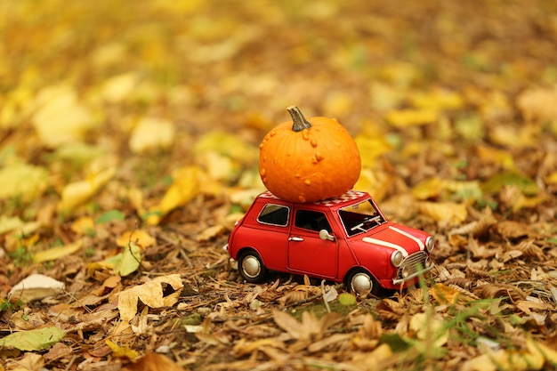 Autumn concept.Pumpkin delivery. Fall season.