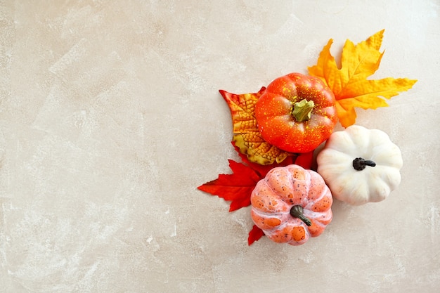 Autumn copmosition with colorful leaves, pine cones and pumpkins on bright background, copy space.