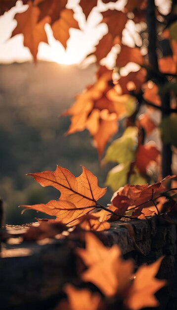 Autumn Copper in the Woods Wallpaper