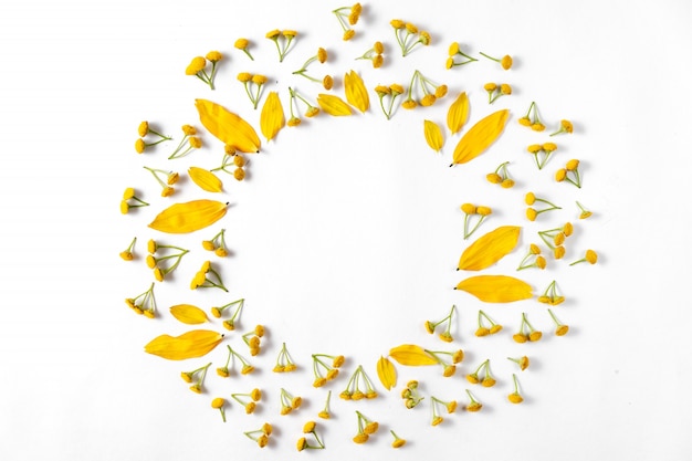 Autumn creative composition. Wreath made of leaves, flowers on white background. 