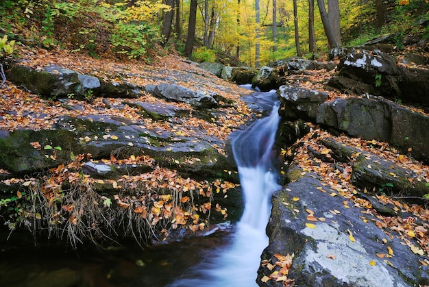 Autumn creek closeup