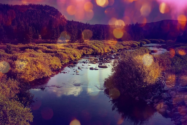 Torrente d'autunno