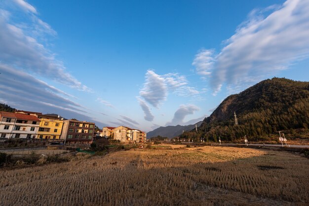 In autumn, crops and weeds in rural fields wither and yellow, and the sky is very blue