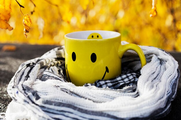 Autumn cup smiley