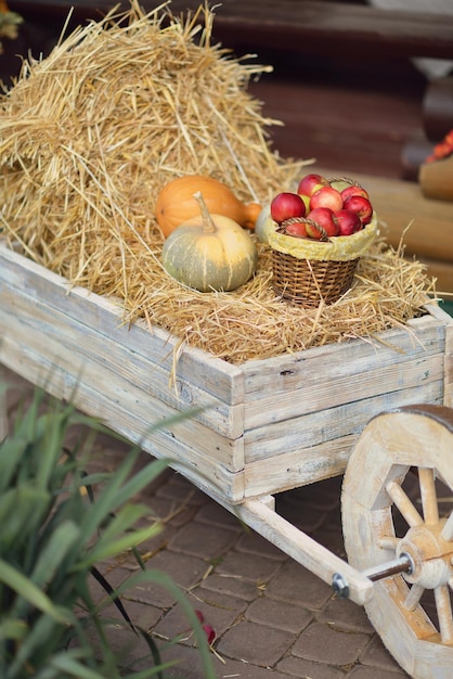 autumn decor decorated in a rustic style in warm colors with autumn floristry