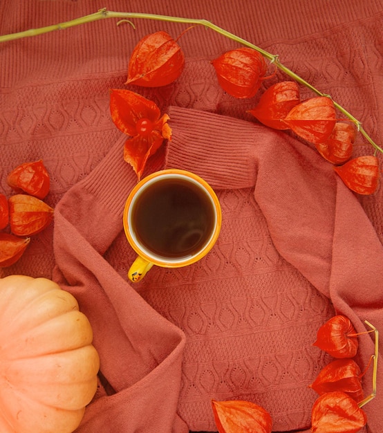 Autumn decor of physalis a cup of tea and a pumpkin on a knitted sweater