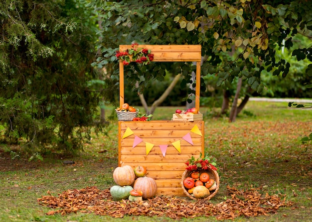 Autumn decor: pumpkins, berries and leaves outdoors, thanksgiving or halloween