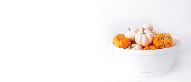 Autumn decoration on white with copy space. Fall, halloween, thanksgiving banner