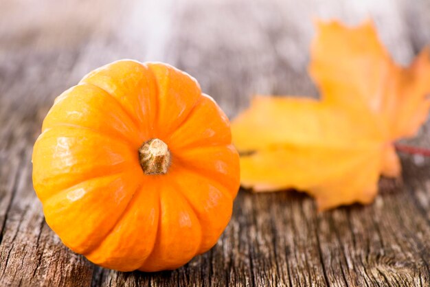 Autumn decoration with pumpkin and leaves