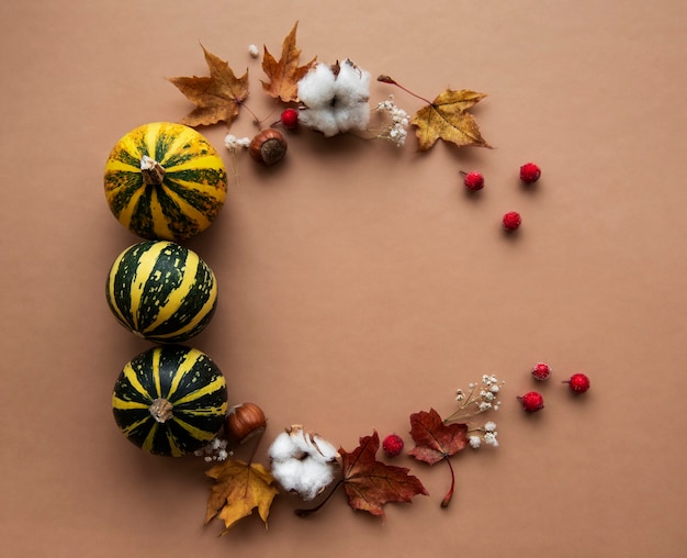 Decorazione autunnale con zucche e foglie di acero secche a forma di cerchio su fondo marrone