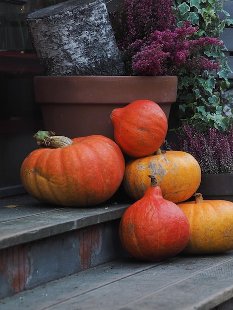 Photo autumn decoration with pumpkins heather outside the flower shop halloween and thanksgiving day