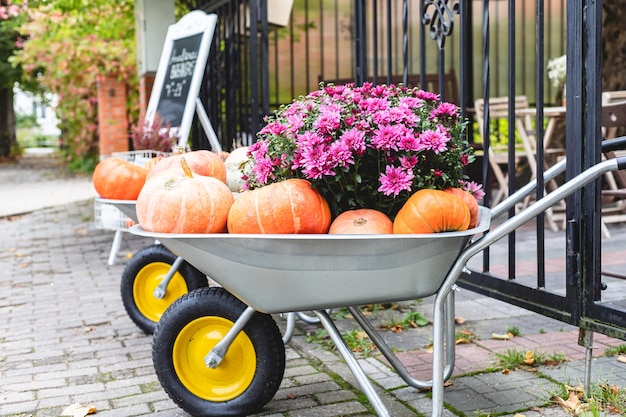 Foto decorazioni autunnali per la stagione autunnale del ringraziamento composizione con zucca e crisantemo