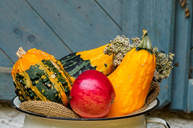 Decorazioni autunnali fatte di zucche ornamentali e meli