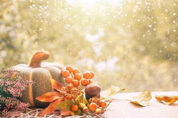 Autumn decorations on a window board on a rainy day, space