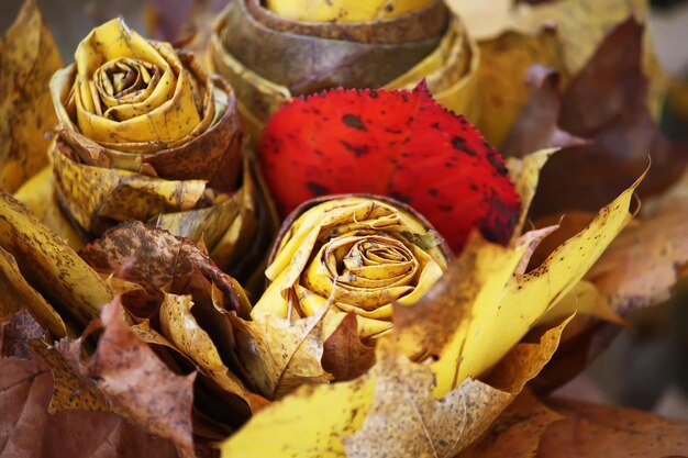 Фото Осенняя декоративная композиция с желтыми кленовыми листьями