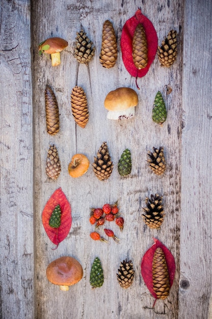 Осенний декоративный натюрморт с грибами, листьями, шишками. Плоская планировка, вид сверху