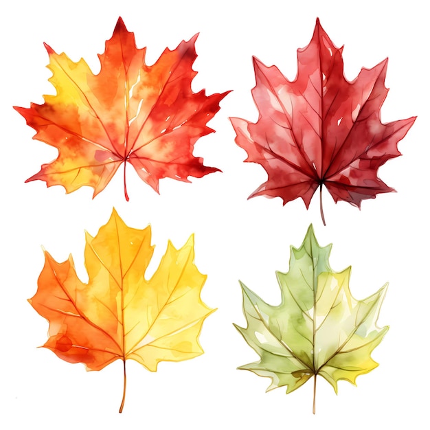 Autumn Delights Watercolor Leaves Drifting on a White Background AI Generated