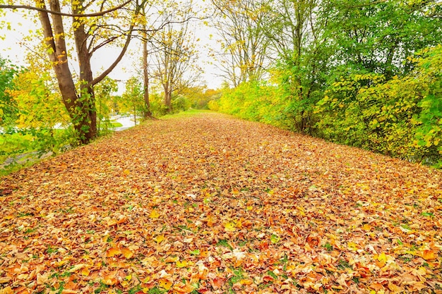 Autumn in Denmark