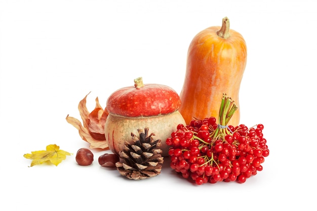 Autumn display with pumpkin and leaves isolated on white 