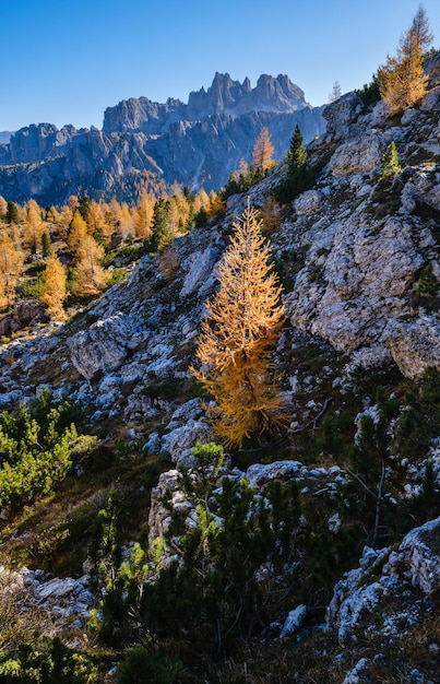 Осенние Доломитовые Альпы скалистый вид Sudtirol Италия