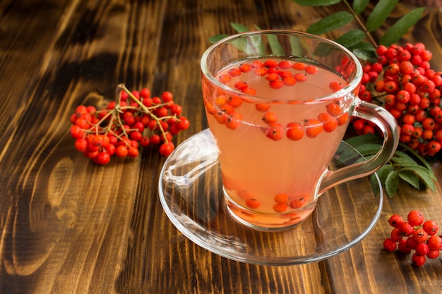 Autumn drink with red rowan in glass cup