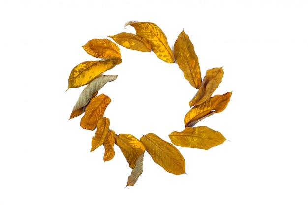 Autumn dry leaves laid on a white frame isolated around