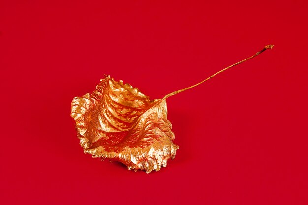 Autumn dry leaves painted with gold paint on a red . Top view. Trendy. Golden autumn.