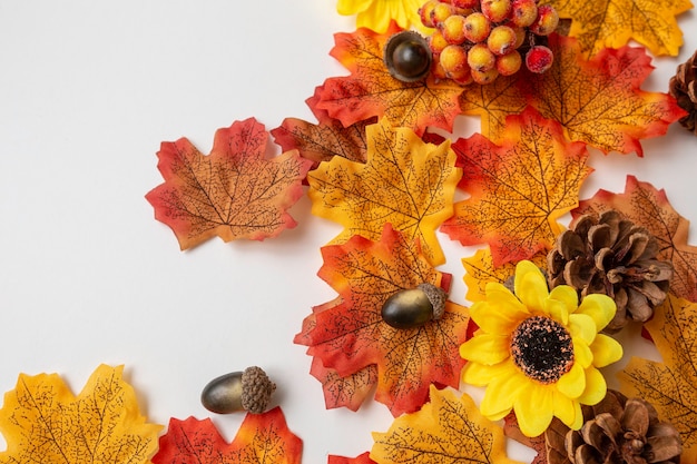 autumn elements  on white background