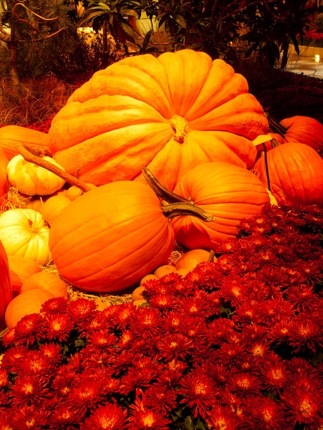 Autumn exhibition in gardens of the Bellagio Hotel, Las Vegas.