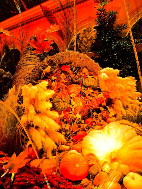 ベラージオホテル、ラスベガスの庭園での秋の展示会。