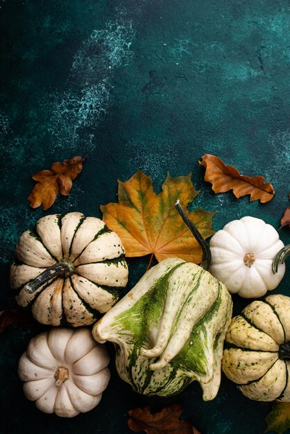 Autumn fall background with pumpkins