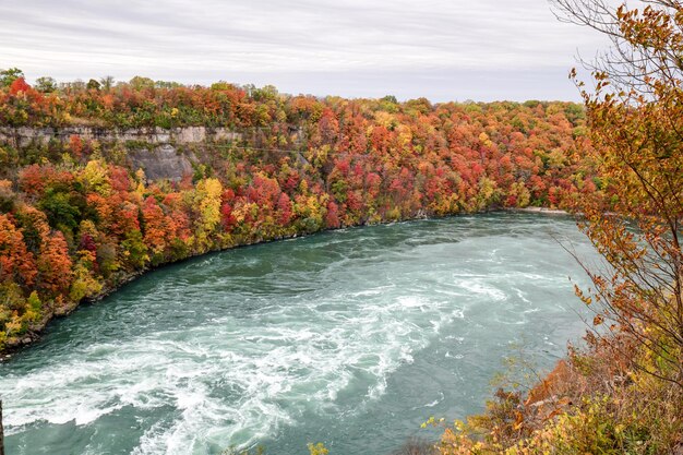 Foto i colori autunnali lungo il fiume