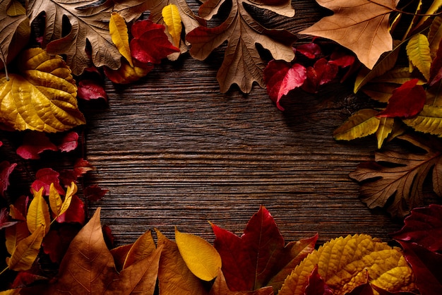 Autumn fall frame golden red leaves on wood