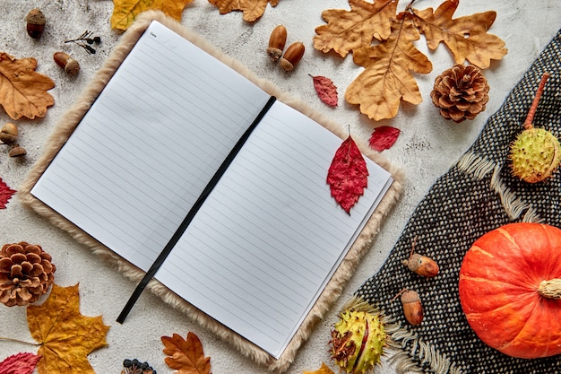 Autumn, fall or halloween composition made of dried leaves, pumpkin, pine cones, acorns, warm scarf and hand with cup of coffee on concrete background. Template mockup blank notebook with copy space.