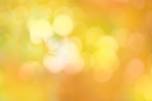 Autumn fall leaves blurred background Blurred bright autumn colorful bokeh