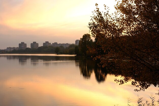 Autumn fall in park with yellow leaves trees and lake of Sumy city Cheha