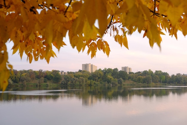 黄色の葉の木と湖のある公園の秋