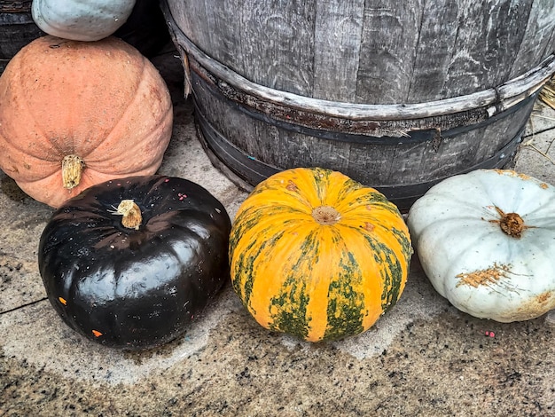 Foto autunno autunno arredamento stagionale arancione tradizionale zucca di halloween vegetale