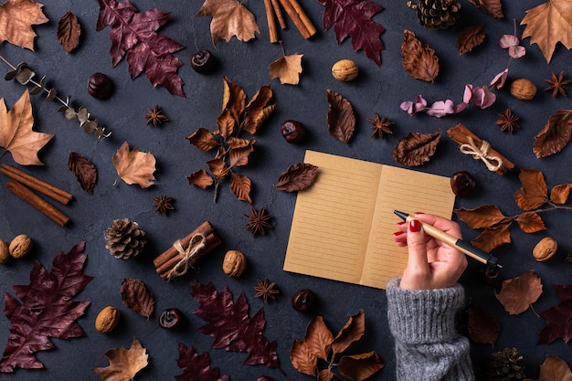 Autumn fall thanksgiving day composition with decorative dried leaves