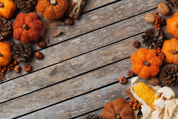 Autumn fall thanksgiving day composition with decorative pumpkins