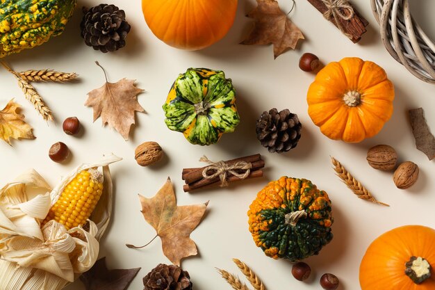 Autumn fall thanksgiving day composition with decorative pumpkins