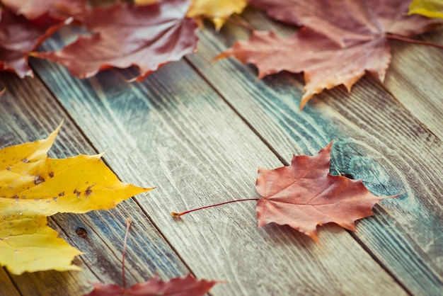Осенние опавшие кленовые листья на старом деревянном столе