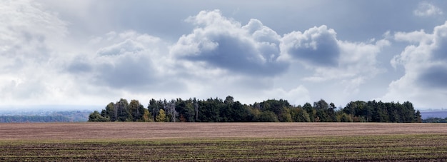 Autumn field and forest in the distance in cloudy weather, panorama