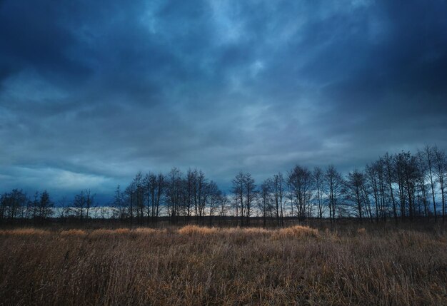 Autumn field during overcast sunset background