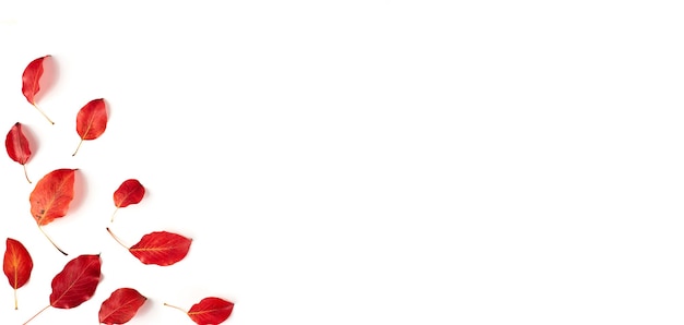 Фото Осенняя квартира лежит фон на белом. композиция с реалистичными красными листьями. привет, октябрьская концепция. копировать пространство