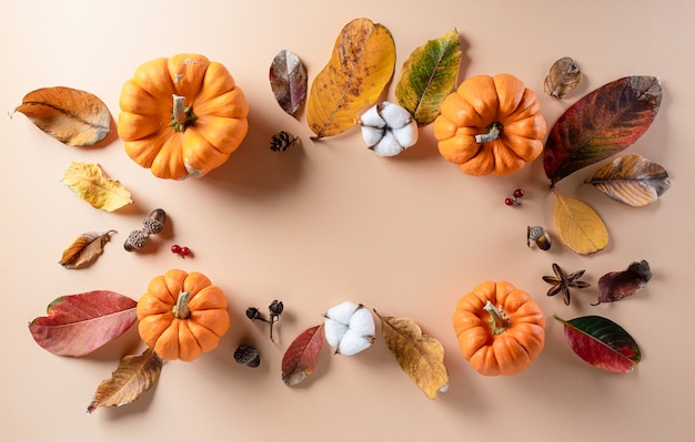 Autumn flat lay decor from dry leaves, cotton flowers with copy space